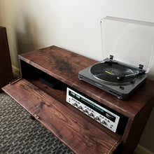 Custom Stereo Cupboard